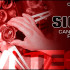 corvette_turn_signal_lead