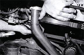 serpentine belt 10